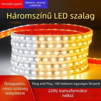 Két színű LED szilikon világító szalag, 220V, vízálló, nappali mennyezeti vonalvilágítás