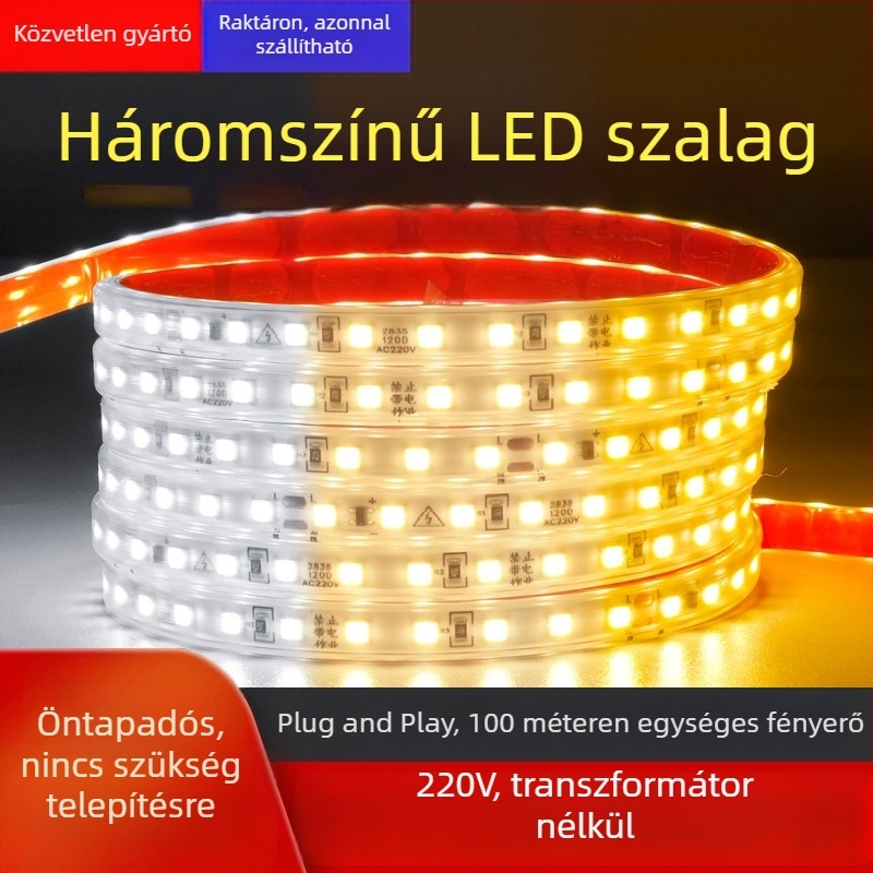 Két színű LED szilikon világító szalag, 220V, vízálló, nappali mennyezeti vonalvilágítás