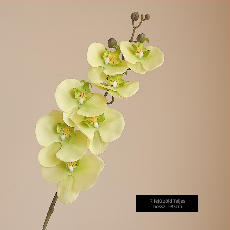Mesterséges Phalaenopsis orchidea nedves hatású felülettel, magas minőségű filmmel bevont kivitel, otthoni és szállodai bemutató dekoráció