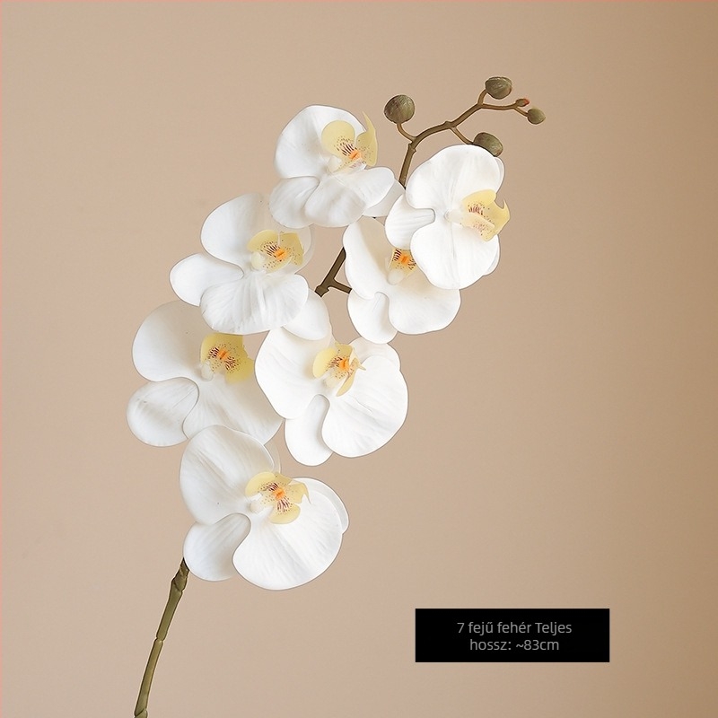 Mesterséges Phalaenopsis orchidea nedves hatású felülettel, magas minőségű filmmel bevont kivitel, otthoni és szállodai bemutató dekoráció