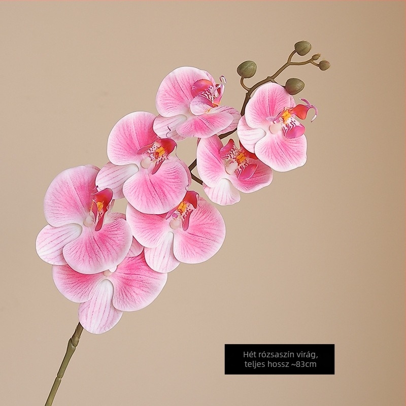 Mesterséges Phalaenopsis orchidea nedves hatású felülettel, magas minőségű filmmel bevont kivitel, otthoni és szállodai bemutató dekoráció