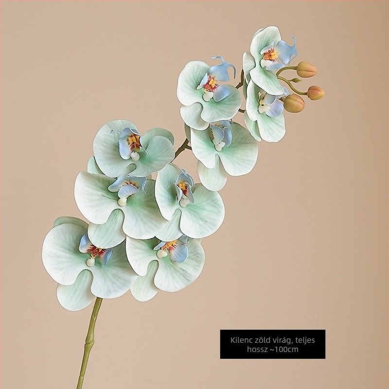Mesterséges Phalaenopsis orchidea nedves hatású felülettel, magas minőségű filmmel bevont kivitel, otthoni és szállodai bemutató dekoráció