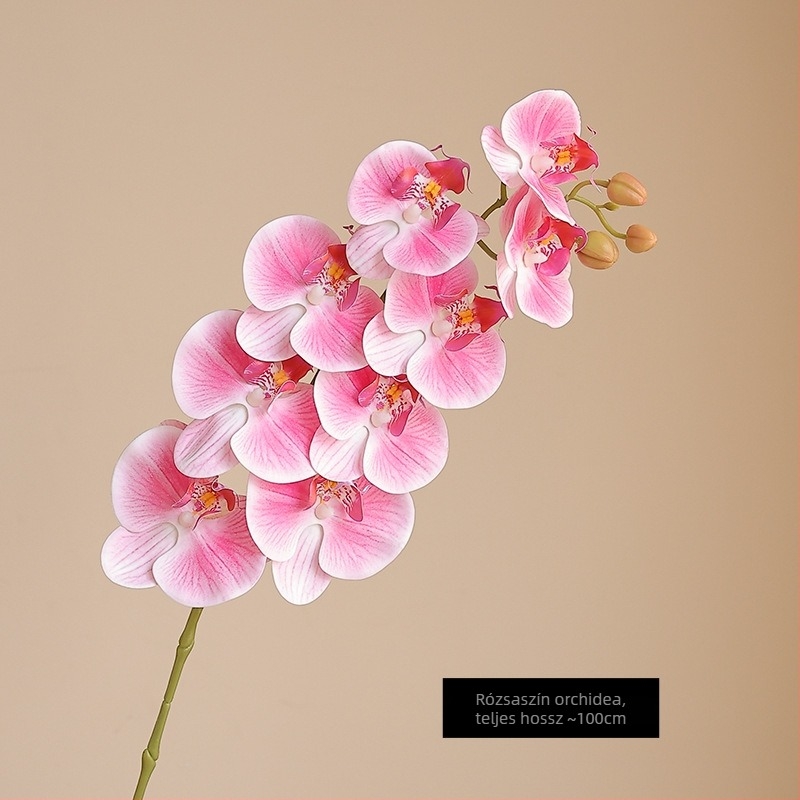 Mesterséges Phalaenopsis orchidea nedves hatású felülettel, magas minőségű filmmel bevont kivitel, otthoni és szállodai bemutató dekoráció