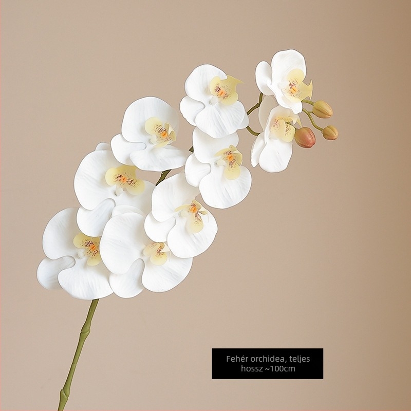 Mesterséges Phalaenopsis orchidea nedves hatású felülettel, magas minőségű filmmel bevont kivitel, otthoni és szállodai bemutató dekoráció