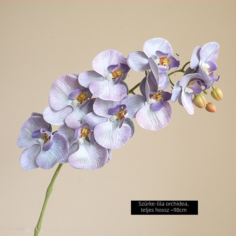 Mesterséges Phalaenopsis orchidea nedves hatású felülettel, magas minőségű filmmel bevont kivitel, otthoni és szállodai bemutató dekoráció
