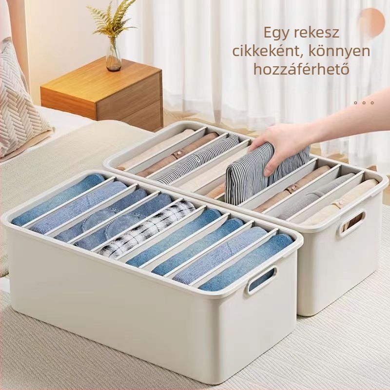 Garderobai tároló doboz nadrág, fehérnemű és zokni rekeszekkel – 18L, PP műanyag, hordozható