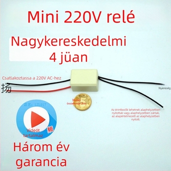 Kisméretű 220V AC-relé vezetékekkel