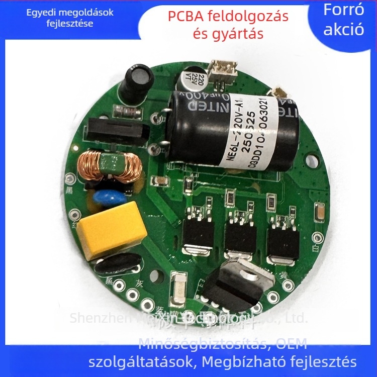 Hitelesített magas sebességű hajszárító vezérlő PCB-vel és brushless motorral