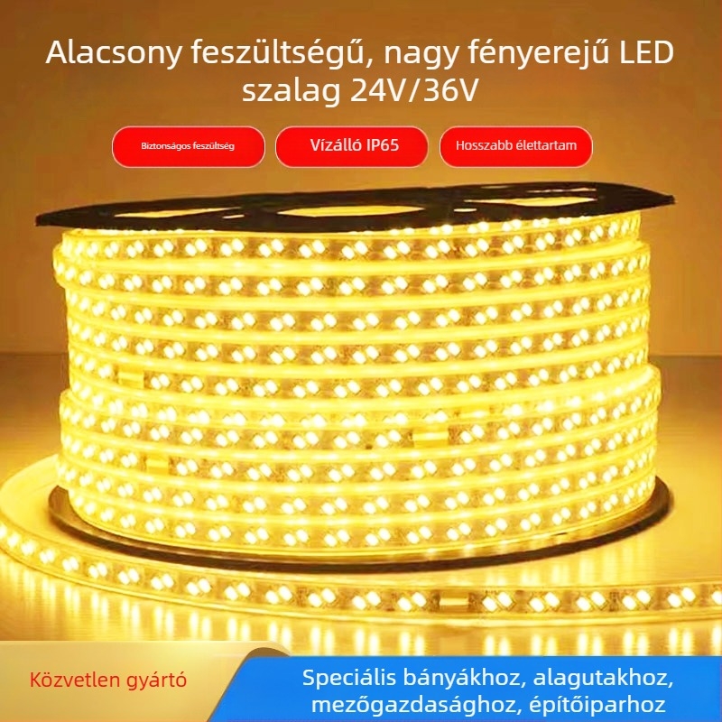 Alacsony feszültségű LED-szalag 24V/36V, nagy fényerő 2835, kétsoros, kültéri vízálló, alkalmas alagútakhoz, bányákhoz és toronydarukhoz – hangulatvilágítás