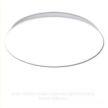 LED mennyezeti lámpa, kör alakú, minimalistista, modern design, hálószoba és nappali számára, 24W