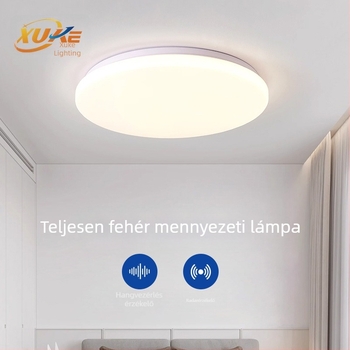 LED mennyezeti lámpa, kör, teljesen fehér, minimalista kialakítás, nagy fényerő, 220V, hálószobába, erkélyre és folyosóra