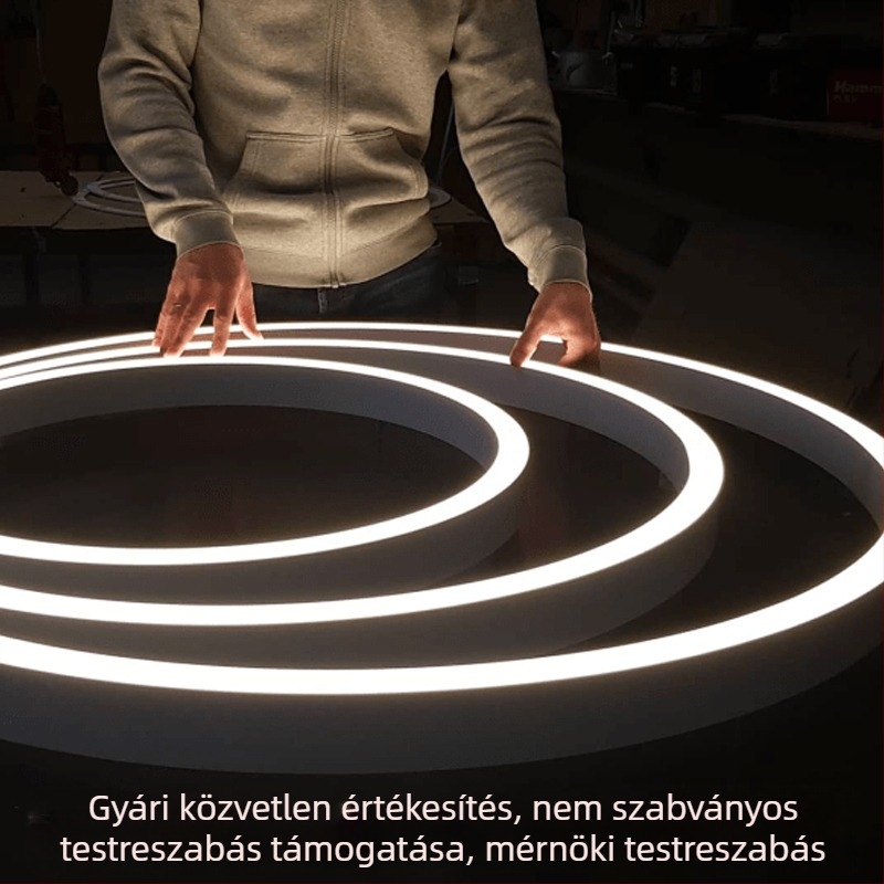 Kör alakú LED gyűrűs csillár irodába, tárgyalóba, edzőterembe és üzletek számára
