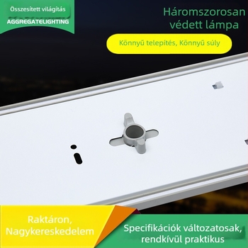 Háromvédett LED T8 lámpatartó dupla- és egyrétegű csövekhez — tisztító és porálló világítás