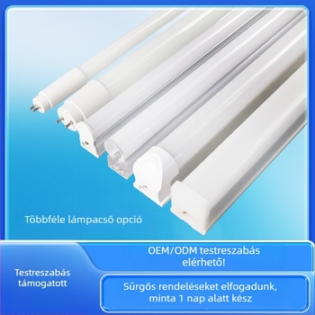 T8 LED cső, kettős végű tápegység, 0,6 m hosszú, OEM feldolgozás és magáncímkézés