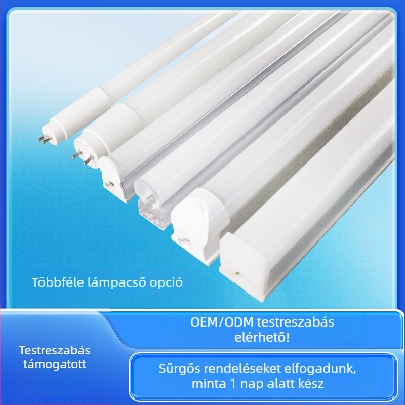 T8 LED cső, kettős végű tápegység, 0,6 m hosszú, OEM feldolgozás és magáncímkézés