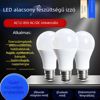 LED alacsony feszültségű lámpa mozgás- és radar/mikrohullám szenzorral, hang- és fényvezérléssel, 12/24/36V és 48V rendszerekhez, autókhoz és hajókhoz