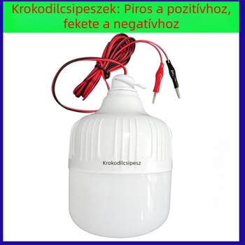 LED alacsony feszültségű izzó 12–85V rendszerekhez, 12V/DC/AC, jármű világítás