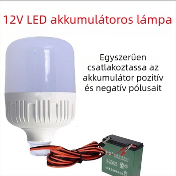 LED alacsony feszültségű izzó 12–85V rendszerekhez, 12V/DC/AC, jármű világítás