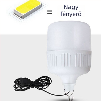 LED alacsony feszültségű izzó 12–85V rendszerekhez, 12V/DC/AC, jármű világítás