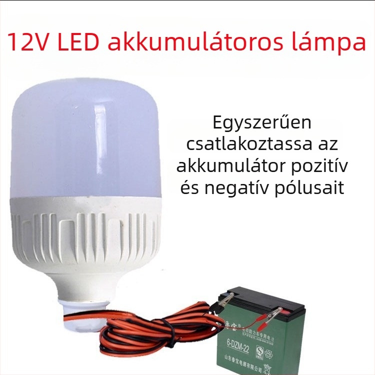 LED alacsony feszültségű izzó 12–85V rendszerekhez, 12V/DC/AC, jármű világítás
