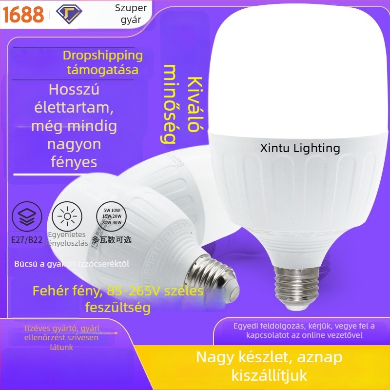 Otthoni használatra szánt LED energiatakarékos izzó, E27-es foglalattal, műanyag bevonatú alumíniumtest, rendkívül fényes