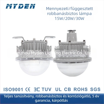 Robbanásbiztos falra szerelt LED lámpa IP66, olajipari raktárakhoz, fehér fény, 10–24W, 85–265V