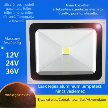 Alacsony feszültségű floodlight halászhajókhoz, DC akkumulátorral működő tengeri kültéri világítás, IP65, 50W, meleg fehér LED