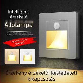Infravörös mozgásérzékelős padlófény falkapcsolóval — beépített LED világítás folyosóra és lépcsőhöz