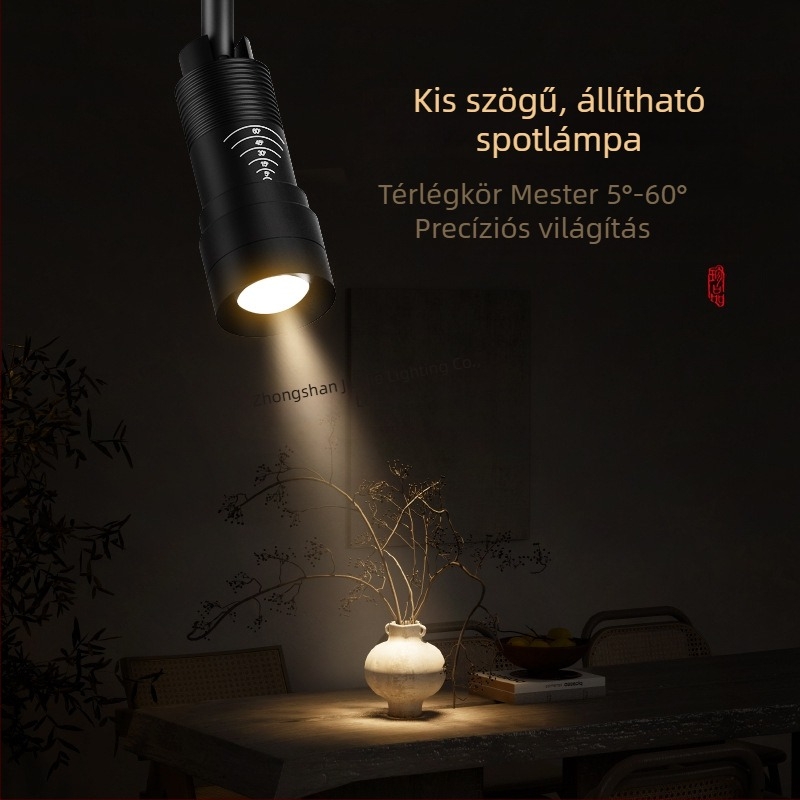 Felületre szerelt, állítható zoomos spotlámpa, keskeny sugarú LED downlight teázó, étterem bejárat és előszoba számára