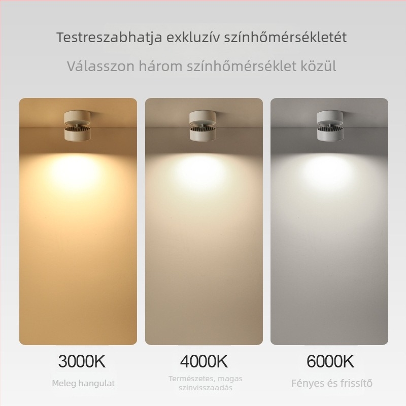 LED mennyezeti lámpa felületi szereléssel és állítható szöggel, otthoni és üzleti használatra, COB pályás lámpa, kompakt felületi downlight