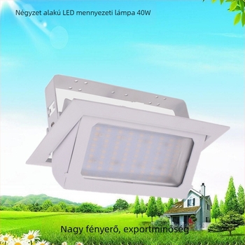 Téglalap alakú LED forgó mennyezeti downlight, 50W-40W, SMD fényforrás, alumínium ház, sarokvilágító spot