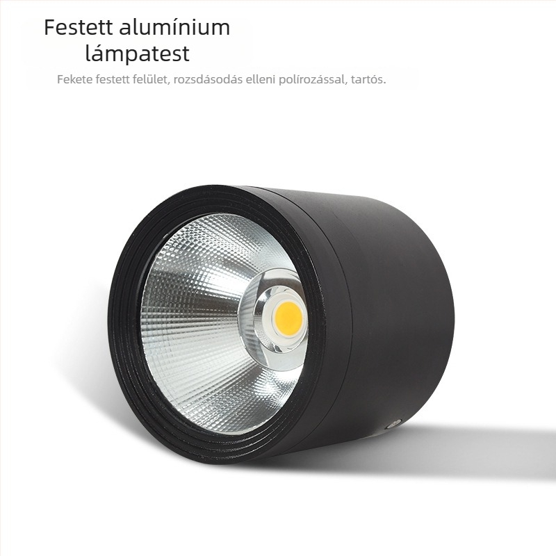 Vízálló kültéri felületre szerelt LED downlight, kör alakú alumínium ház, COB LED, 3000K meleg fehér, méretek 100×110 mm