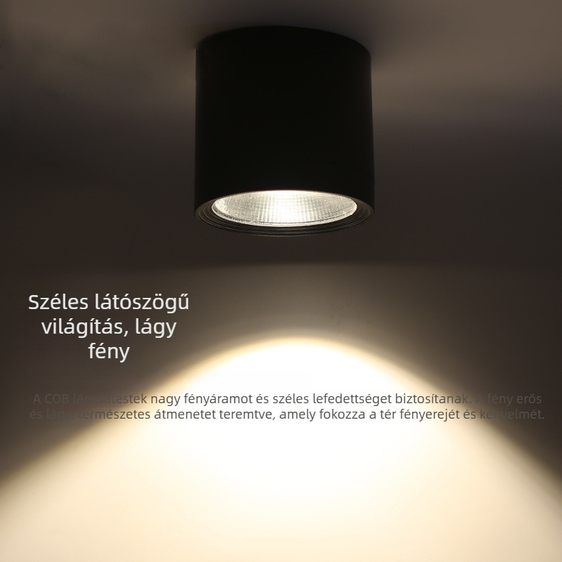 Vízálló kültéri felületre szerelt LED downlight, kör alakú alumínium ház, COB LED, 3000K meleg fehér, méretek 100×110 mm