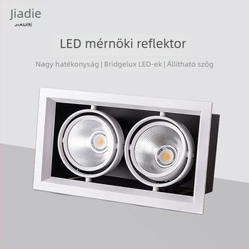 Beépített négyzet alakú mennyezeti LED downlight, állítható szöggel, kétfejű ruhaüzletekhez