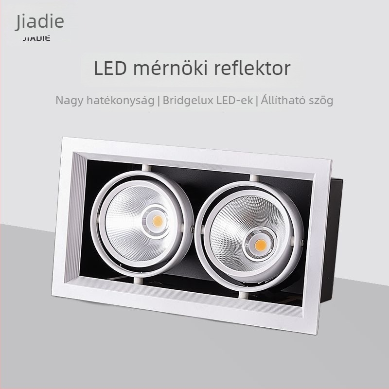 Beépített négyzet alakú mennyezeti LED downlight, állítható szöggel, kétfejű ruhaüzletekhez