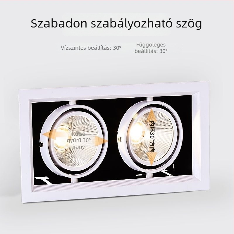 Beépített négyzet alakú mennyezeti LED downlight, állítható szöggel, kétfejű ruhaüzletekhez