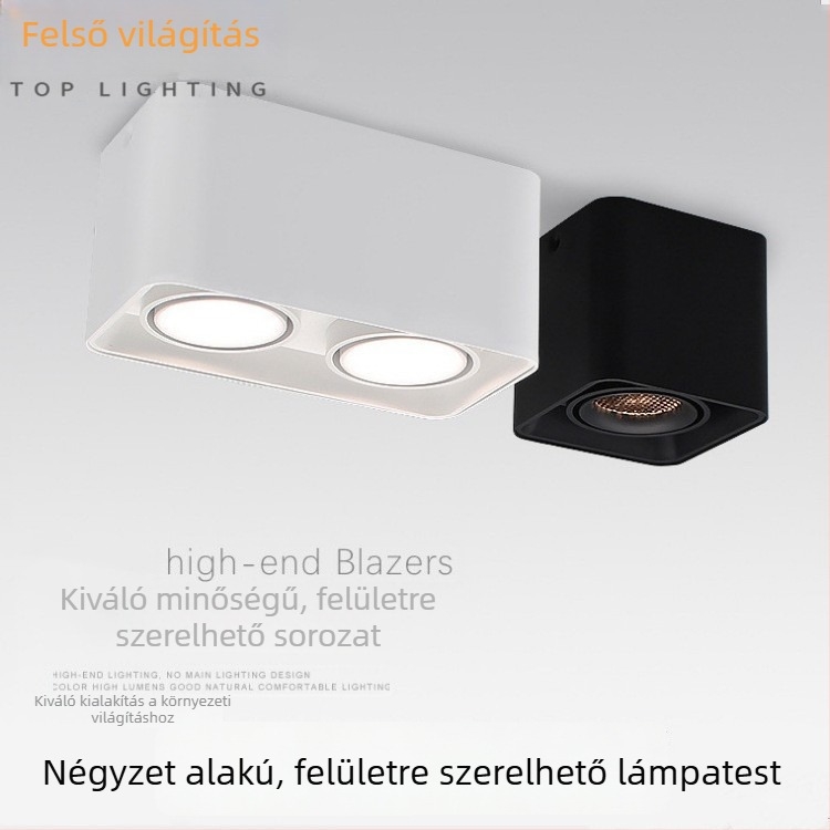 LED négyszögletes felületre szerelt downlight rácsos kivitel nappalira és folyosóra – kétfejű, egyfejű vagy háromfejű