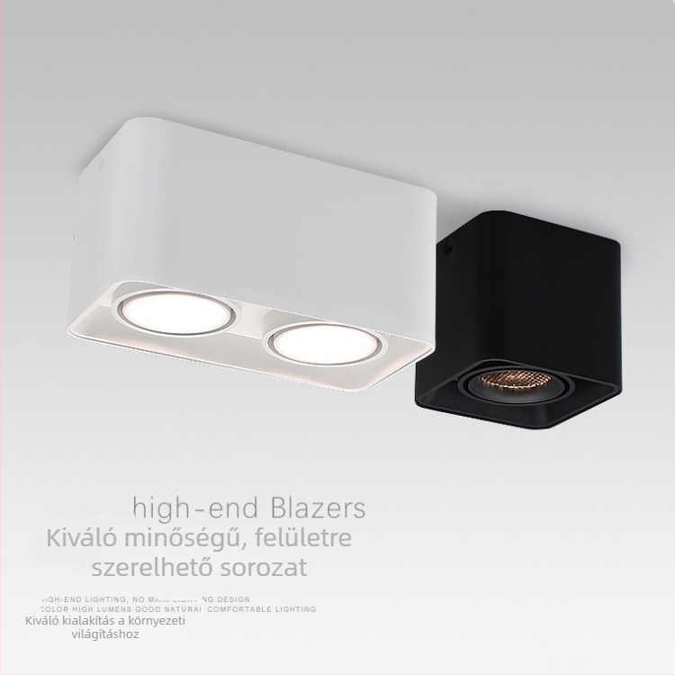 LED négyszögletes felületre szerelt downlight rácsos kivitel nappalira és folyosóra – kétfejű, egyfejű vagy háromfejű