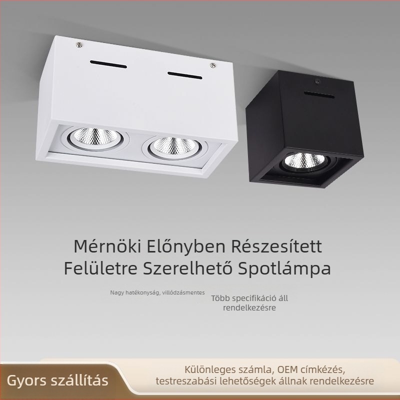 LED felületszerelt spotlámpa, négyzet alakú, egy- vagy kétfejű, nappali mennyezeti downlight COB fényforrással, állítható szög.