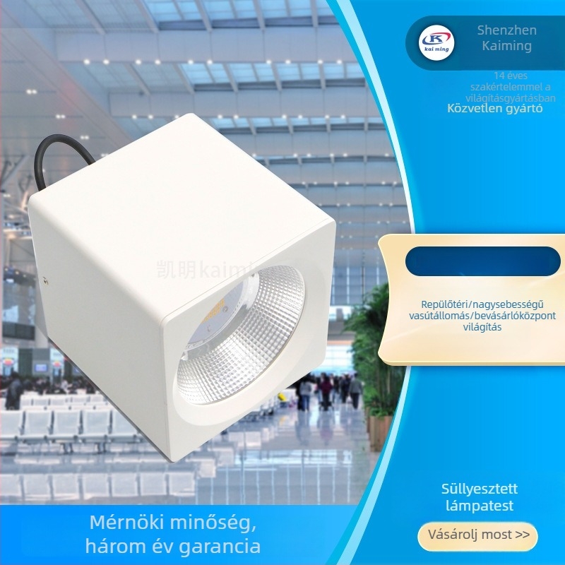 LED négyszögletes felületre szerelt downlight 50W, 60W spot a folyosókhoz és gyalogos hidakhoz