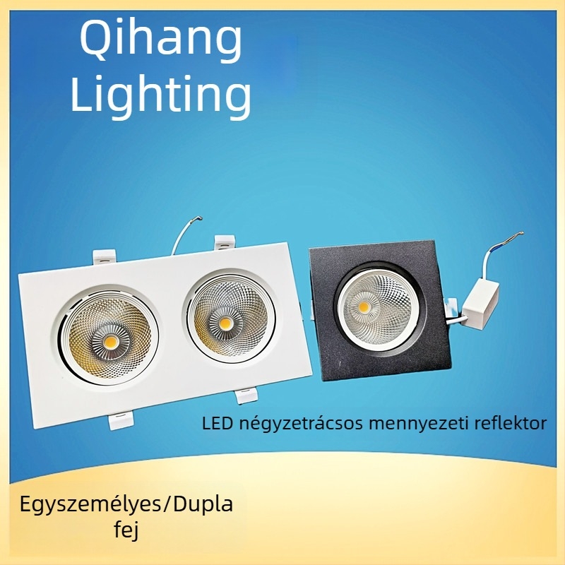 LED kettős fejű spotlámpa rácsos kivitelben, téglalap alakú beépített mennyezeti lámpa 10x20