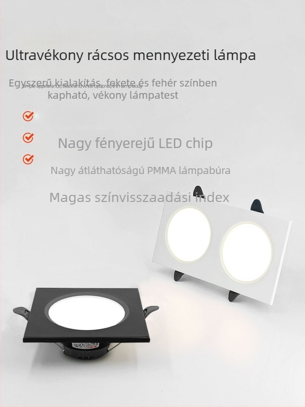 LED téglalap alakú beépített downlight rácsos mennyezethez, folyosóra, egy- vagy kettőfejes