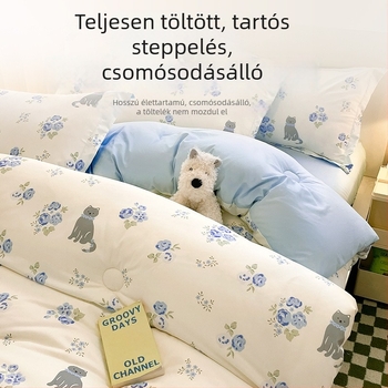 Minden évszakban használható vékony paplan kollégiumi szobához, egyágyas ágyhoz