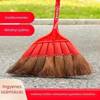 Hagyományos pálmasöprű hosszú nyéllel, otthonra, kertre és kültérre – porlapát készlet