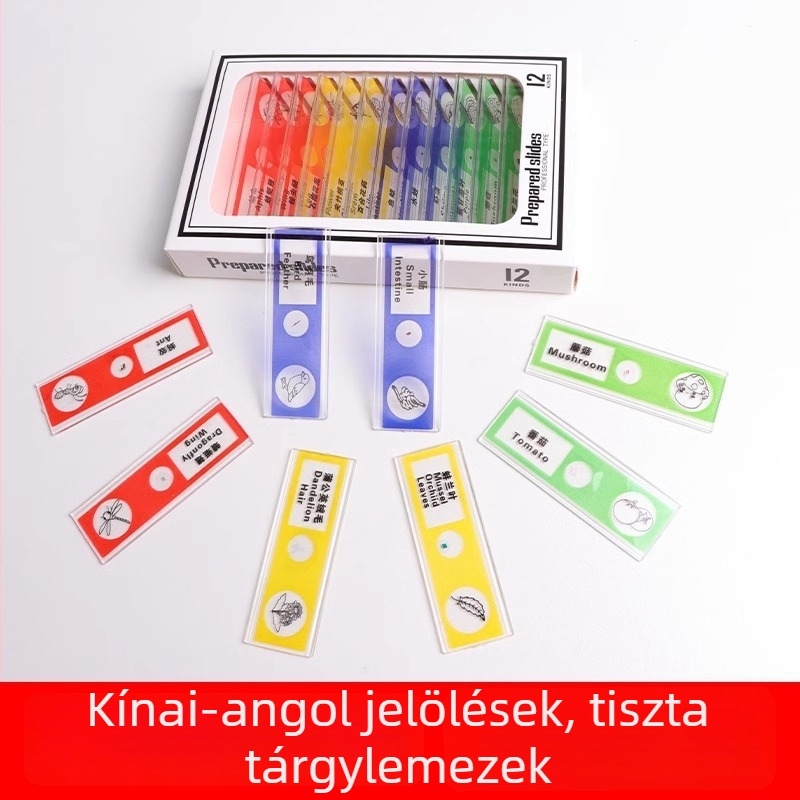 Műanyag mikroszkópos slide-ok vegyes állat- és növényi mintákkal gyerekeknek – rovarok és növények
