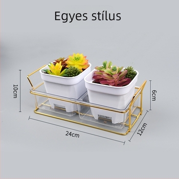 Műanyag rekeszes tároló doboz asztali résszel, könnyed luxus stílusban, szukkulensek számára