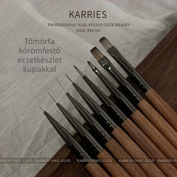 Ingyenes gravírozású körömdíszítő ecsetkészlet sapkával, speciális ecset kiváló minőségű puha és sima sörtékkel, körömdíszítő vonalrajzoló toll
