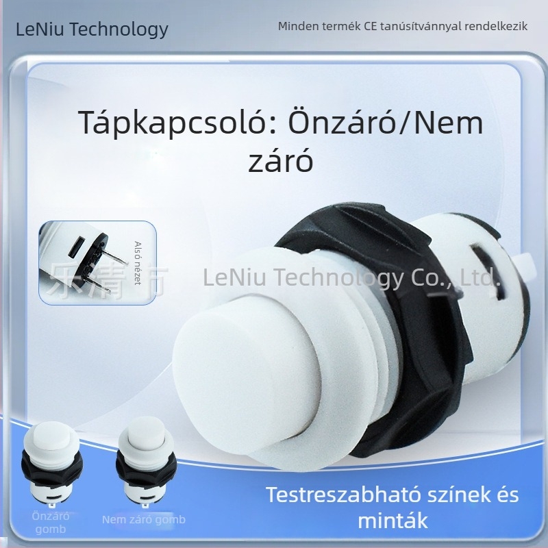 12 mm-es önzáró/zár nélküli gombkapcsoló DS-425, menetes, fehér, két pin, kisméretű kör alakú