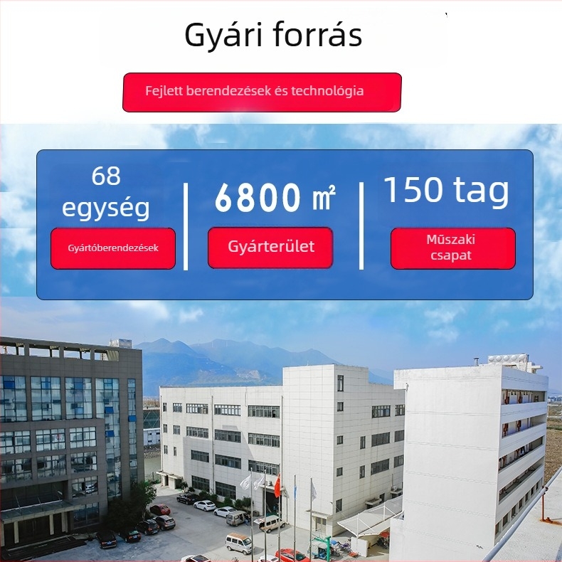 Egyéni fém kulcstartó zománc bevonattal és logómedállal