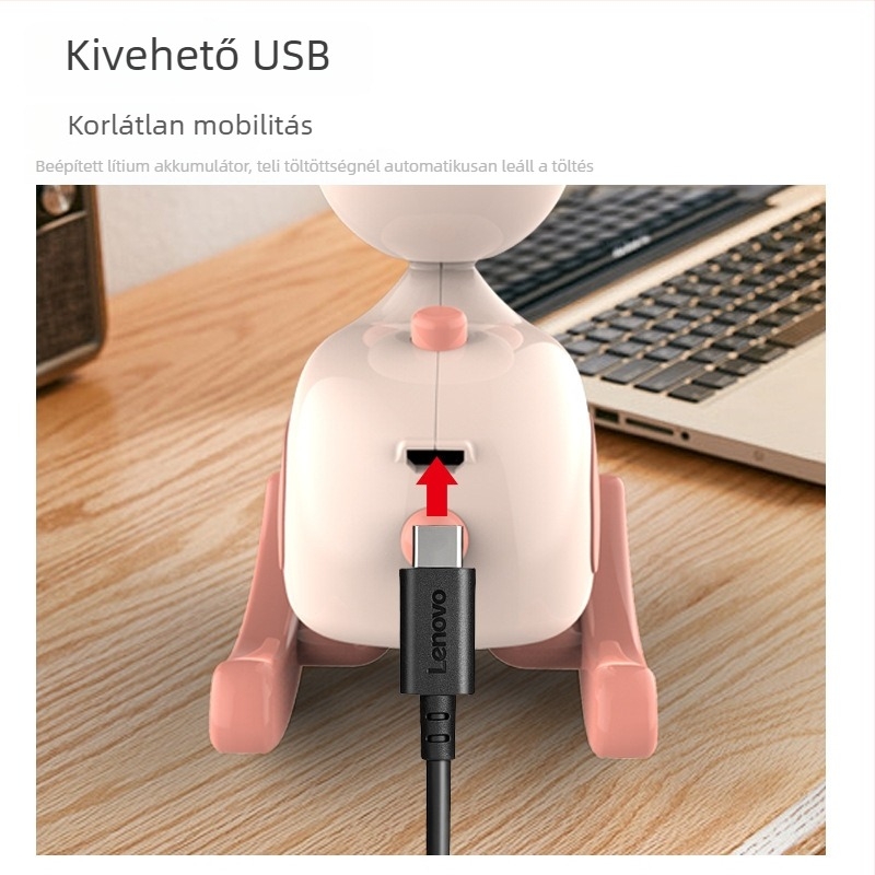 Rajzfilmszerű hintaló éjjeli lámpa USB töltéssel, asztali dísz, LED mini